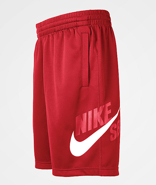 nike sb dri fit shorts