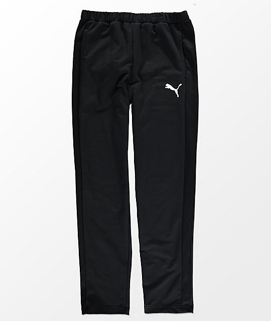 puma track puma track