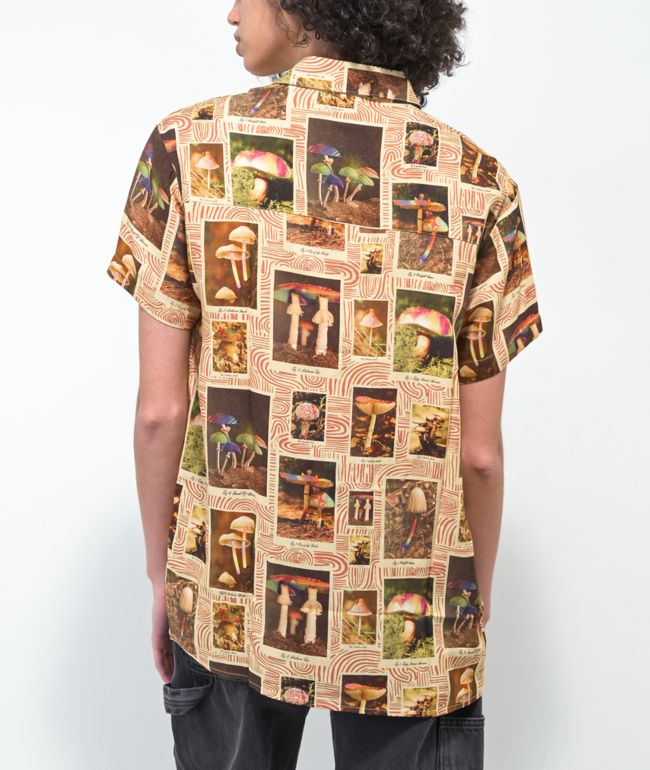 Dravus Zaedia Mushroom Tan Short Sleeve Button Up Shirt - thumbnail 2