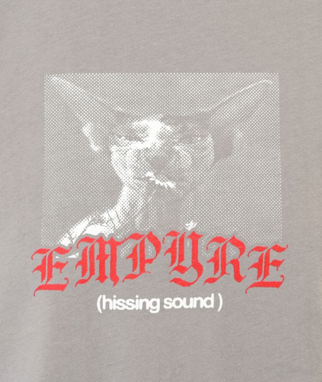 Empyre Hissing Sound Grey Crop T-Shirt - thumbnail 2