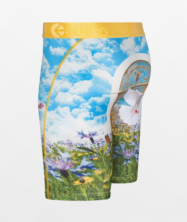 Ethika Kids' Win To Enter Blue Boxer Briefs - thumbnail 3