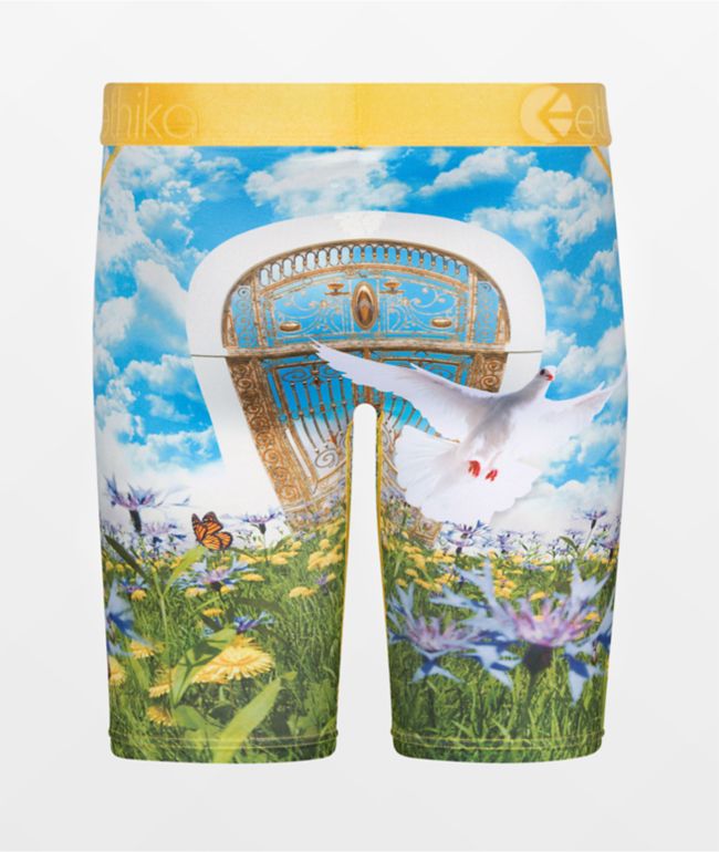 Ethika Kids' Win To Enter Blue Boxer Briefs - thumbnail 2