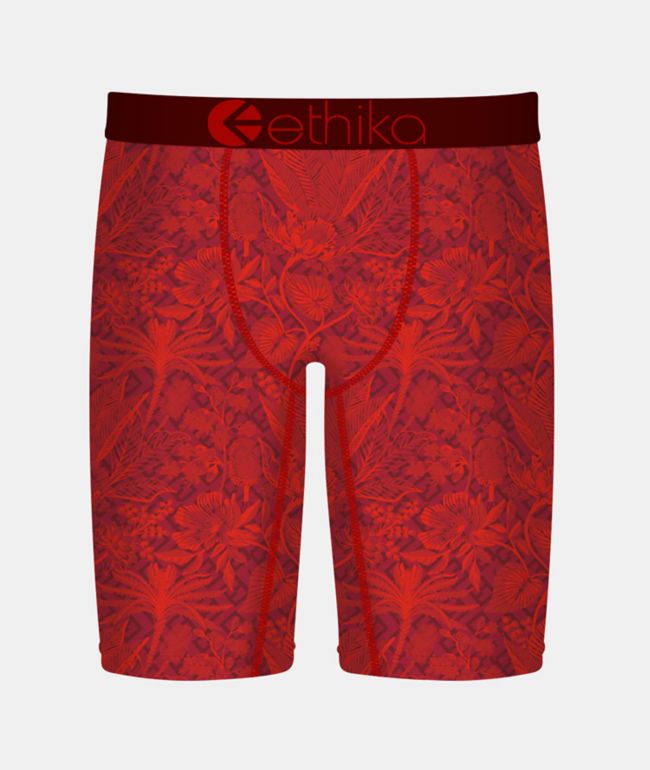 Ethika Kids Cardinal Boxer Briefs