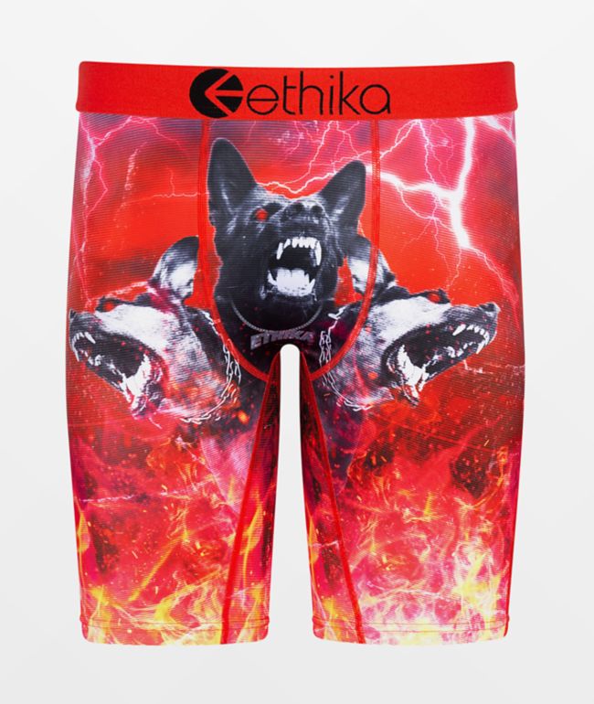 Ethika Kids Cerberus Boxer Briefs