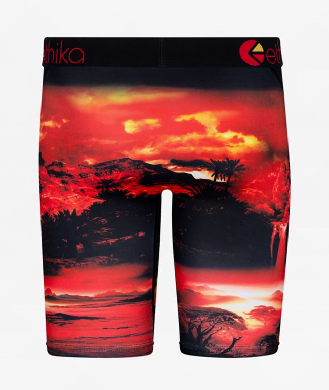 Ethika Kids Dark Safari Boxer Briefs - thumbnail 2