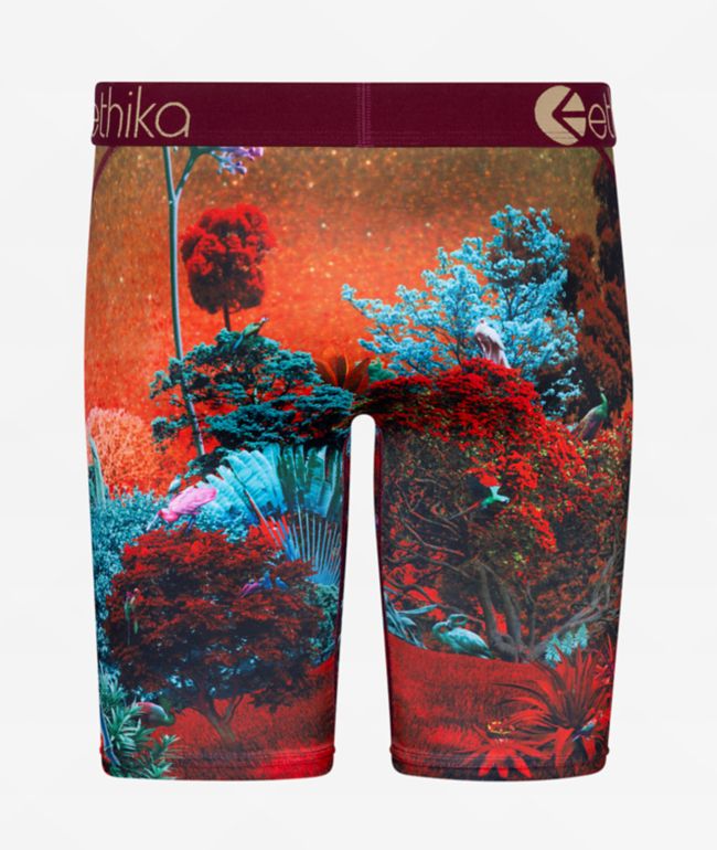 Ethika Kids Forest Tiger Red Boxer Briefs - thumbnail 2