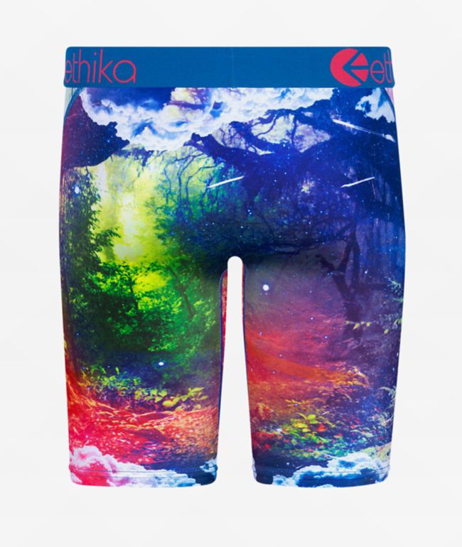 Ethika Kids Jungle Dreams Blue Boxer Briefs - thumbnail 2
