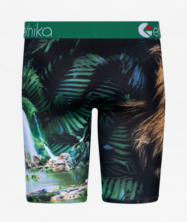 Ethika Kids King Chillin Boxer Briefs - thumbnail 2