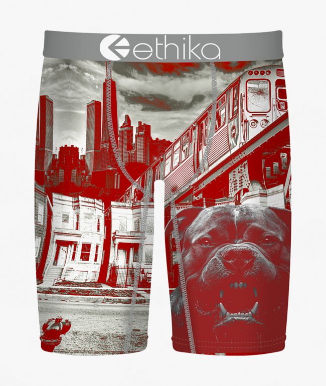 Ethika Kids Off The Porch Boxer Briefs