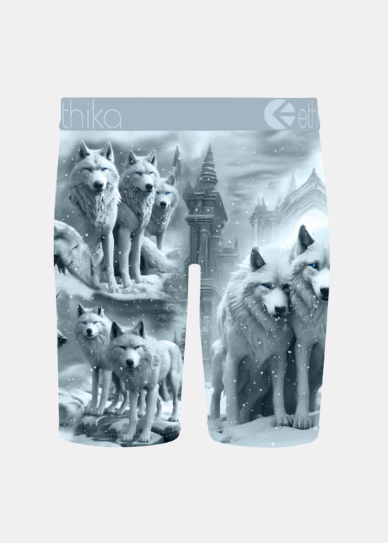 Ethika Kids Primal Familie Boxers Briefs - thumbnail 2