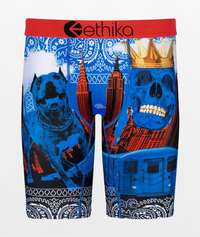 Ethika Kids This Tough Blue Boxer Briefs