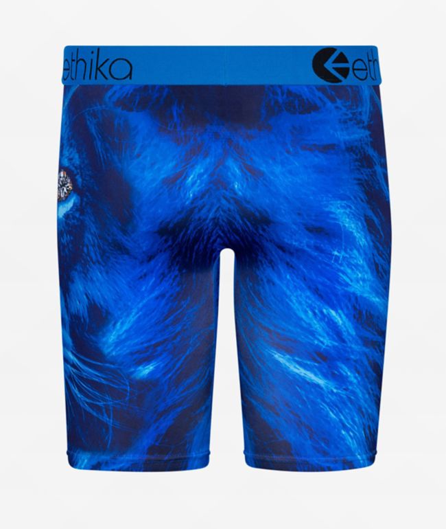 Ethika Kids Tru Lion Blue Boxer Briefs - thumbnail 2
