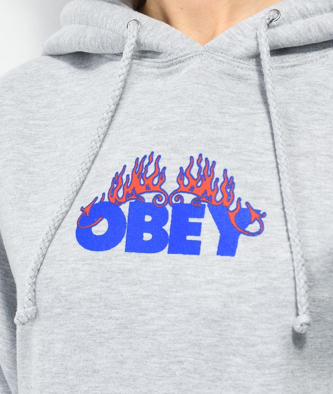 Obey Flames Grey Hoodie - thumbnail 2