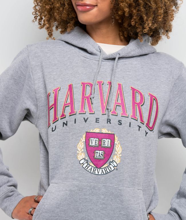 Park Fields Harvard Collegiate Grey Hoodie - thumbnail 3