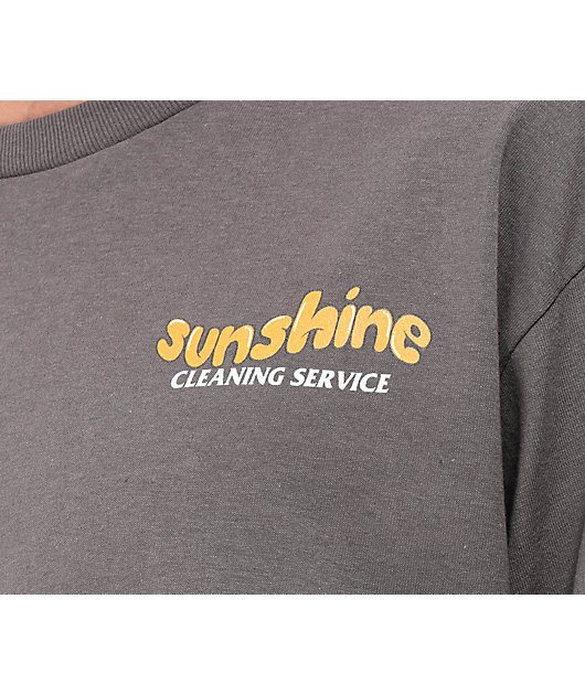 Sunshine cleaning online service