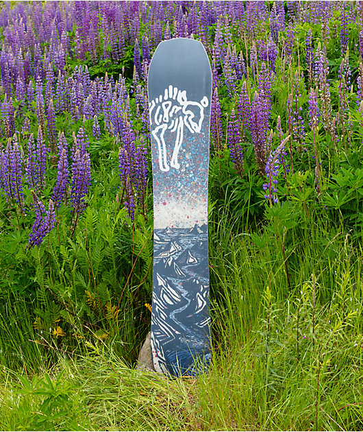 Arbor Annex Snowboard 2023