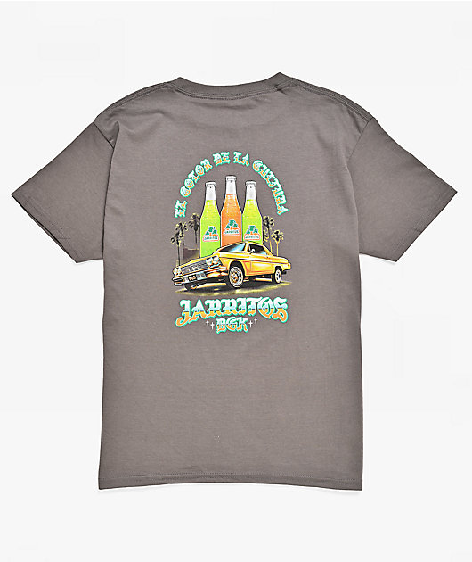 DGK x Jarritos Kid's In Motion Grey T-Shirt