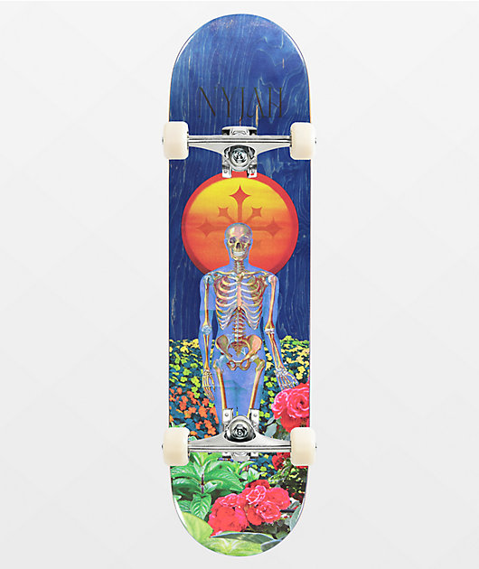 Disorder Huston Garden 8.25" Assembled Skateboard Complete