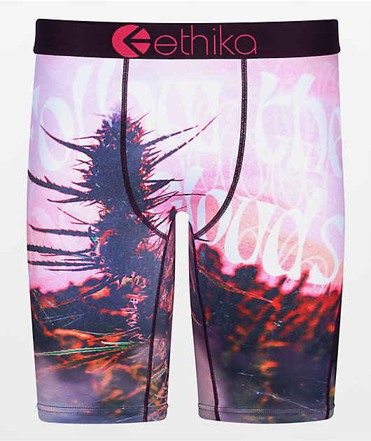 ethika, Intimates & Sleepwear, Brand New Ethika Underwear Size Medium