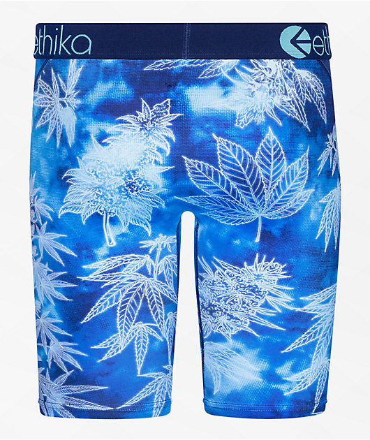 Ethika In The Woods Blue Boxer Briefs