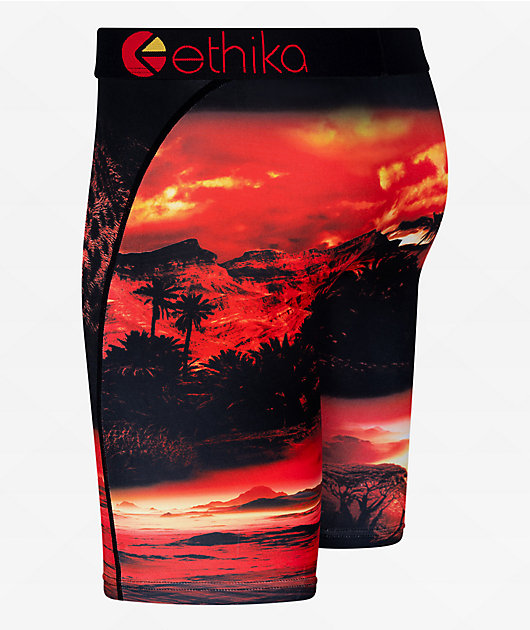 Ethika Dark Safari Boxer Briefs