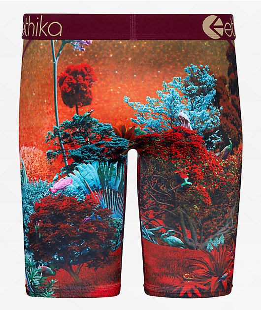 Ethika Forest Tiger Orange Boxer Briefs