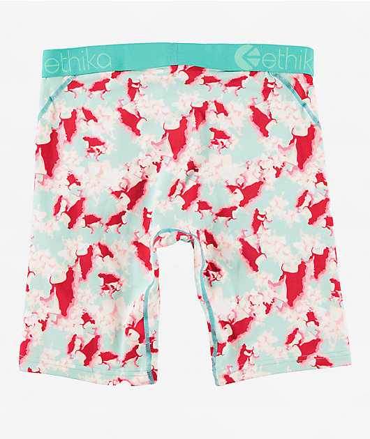Ethika In Bloom Boxer Briefs