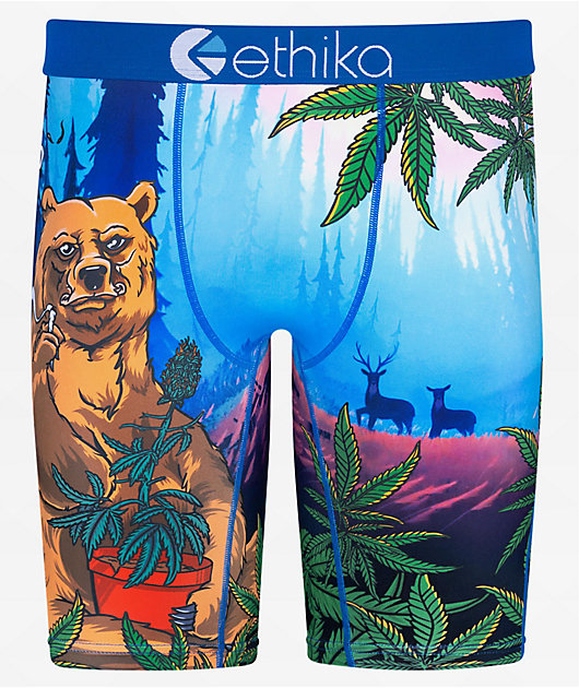 Ethika In The Woods Blue Boxer Briefs