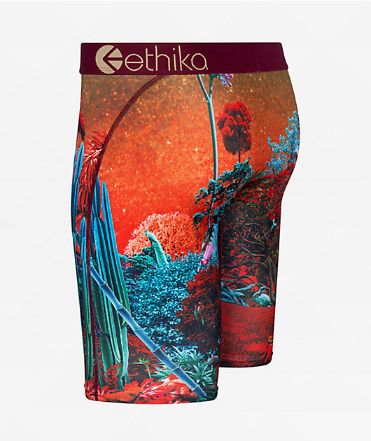 Ethika Kids Forest Tiger Red Boxer Briefs