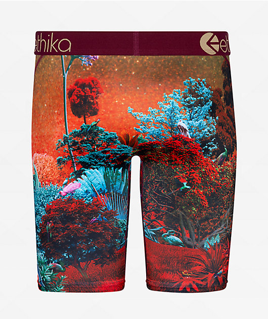 Ethika kids offers