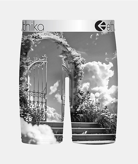 Ethika Kids Free Ya Mind Boxer Briefs