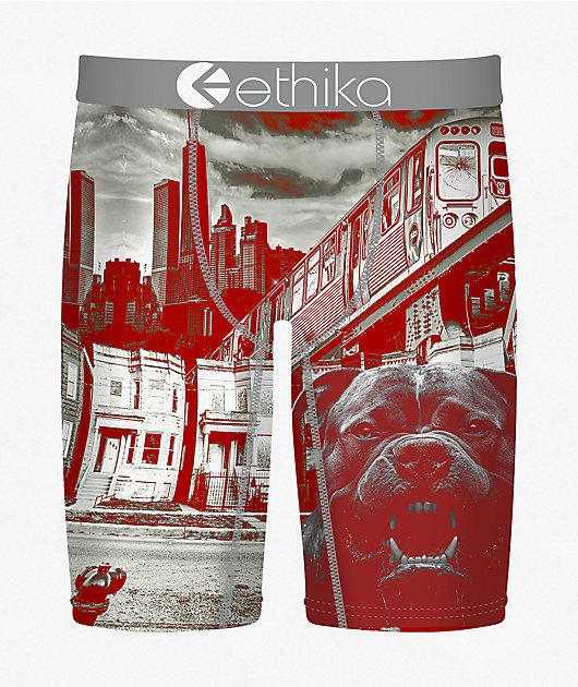 Ethika Kids Off The Porch Boxer Briefs