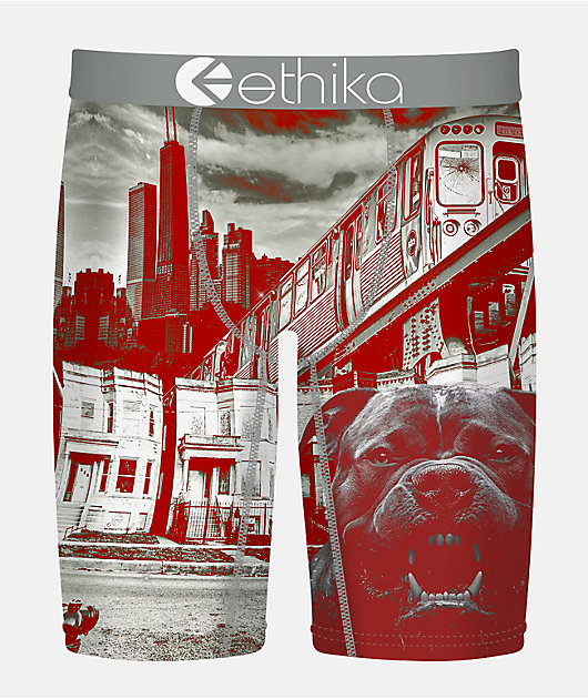 Ethika Off The Porch Boxer Briefs | Zumiez