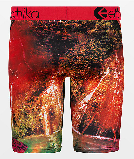 Ethika Roar And Chill Boxer Briefs