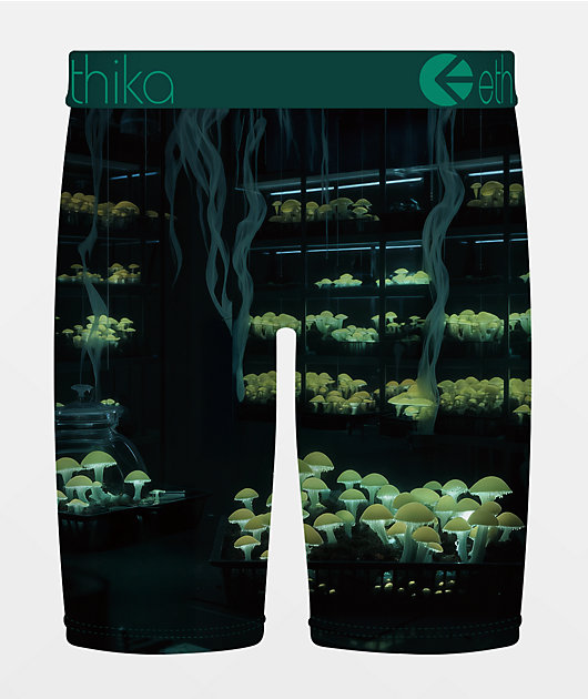 Ethika Shroom Alchemist Boxer Briefs