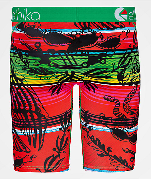 Ethika Soto St Boxer Briefs