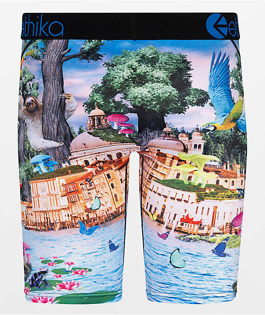 Ethika Trippin On Venice Boxer Briefs