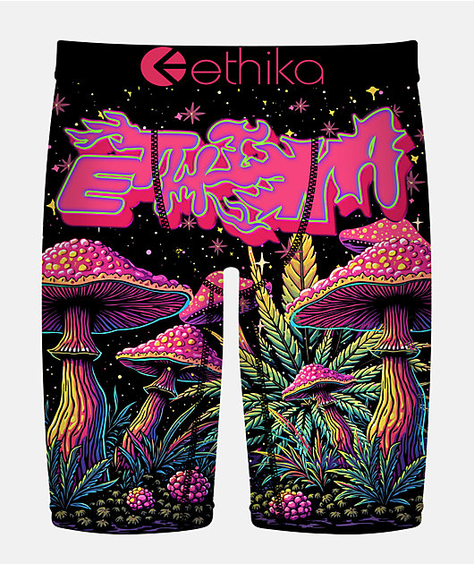 Ethika Triptrail Boxer Briefs