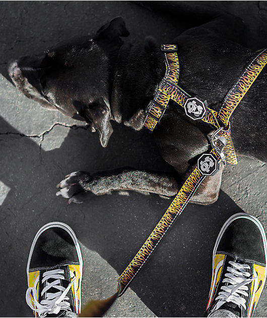 Fresh Pawz Flame Thrower Harness
