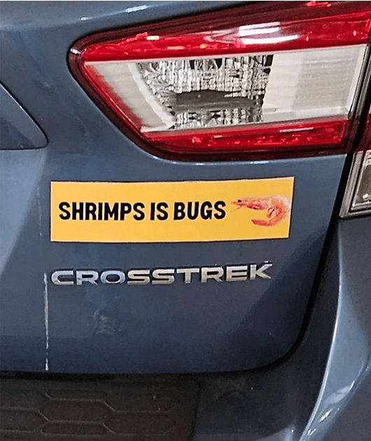 Frog Mustard Shrimps Is Bugs Bumper Sticker