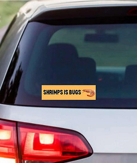 Frog Mustard Shrimps Is Bugs Bumper Sticker