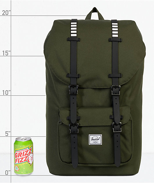 herschel forest night