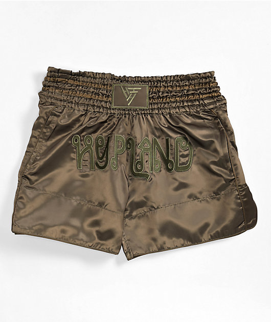 What shorts are you wearing? A while ago I got these Raja pineapples and I  love them : r/MuayThai
