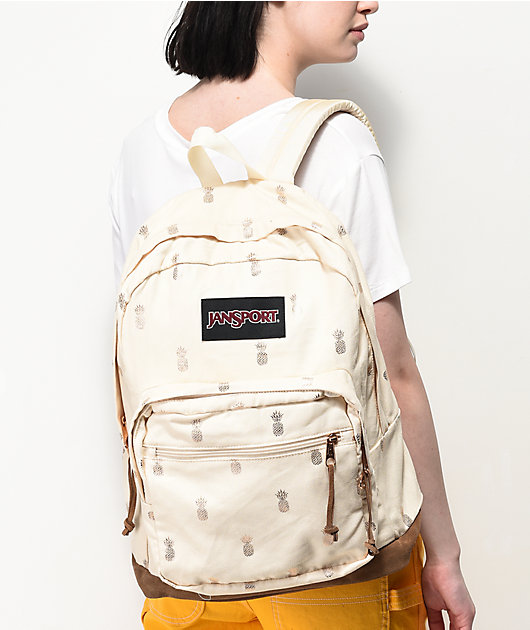 JanSport Right Pack Expressions 