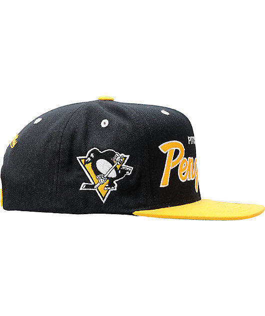 pittsburgh penguins snapback hat
