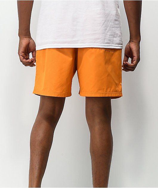 Nike SB Novelty Curry shorts chino