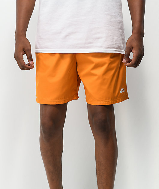 Nike SB Novelty Curry shorts chino