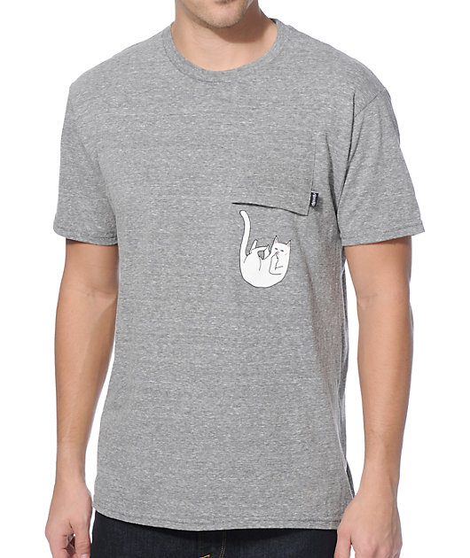 brachycephalic health issues