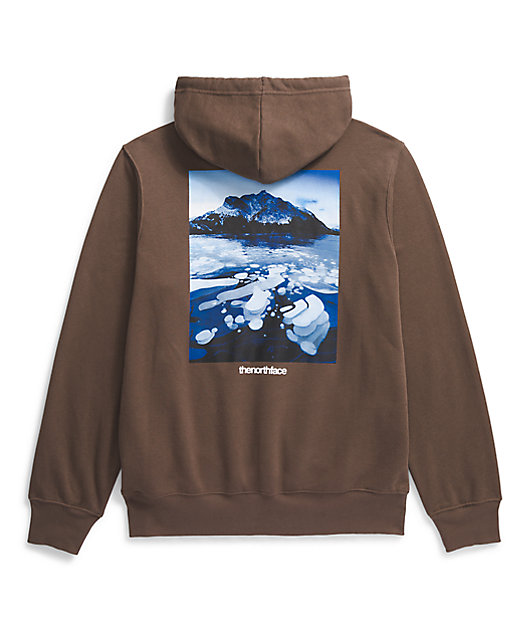 The North Face Suspended Brown Hoodie | Zumiez