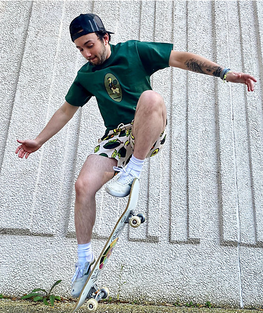 Vans Primary White & Black Board Shorts | Zumiez